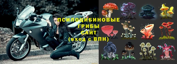 гашик Алексеевка