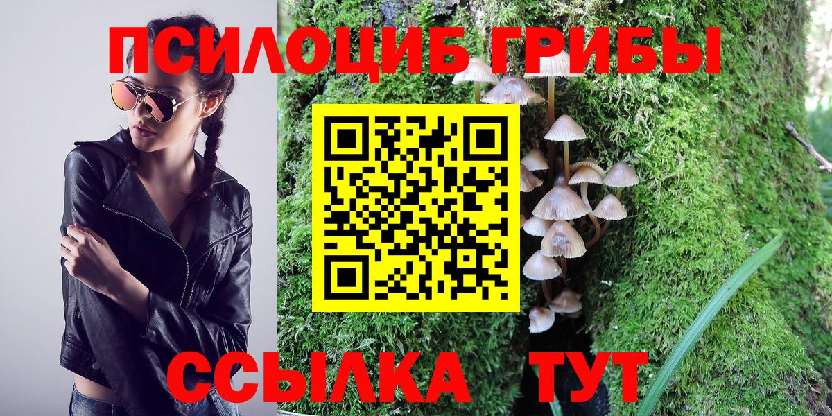 Галлюциногенные грибы GOLDEN TEACHER Керчь